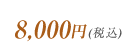 8,000円(税込)
