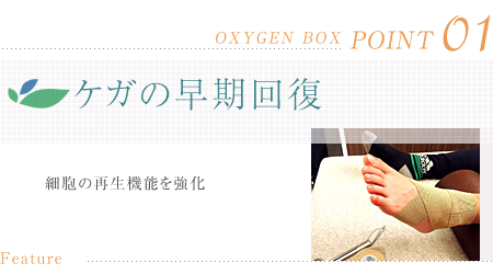 ケガの早期回復